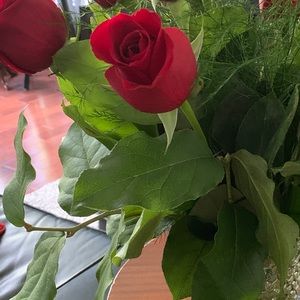 Meet your Posher, Mary-ann